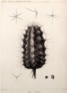 Image description is not available for 1999.014